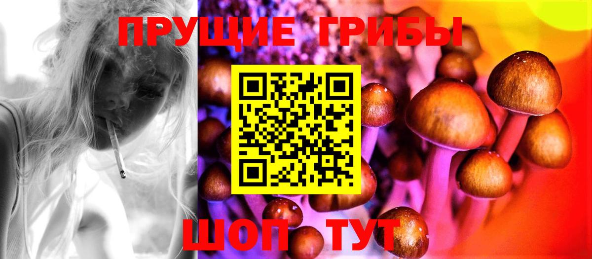 Звенигород  Псилоцибиновые грибы MAGIC MUSHROOMS  Вход с VPN 